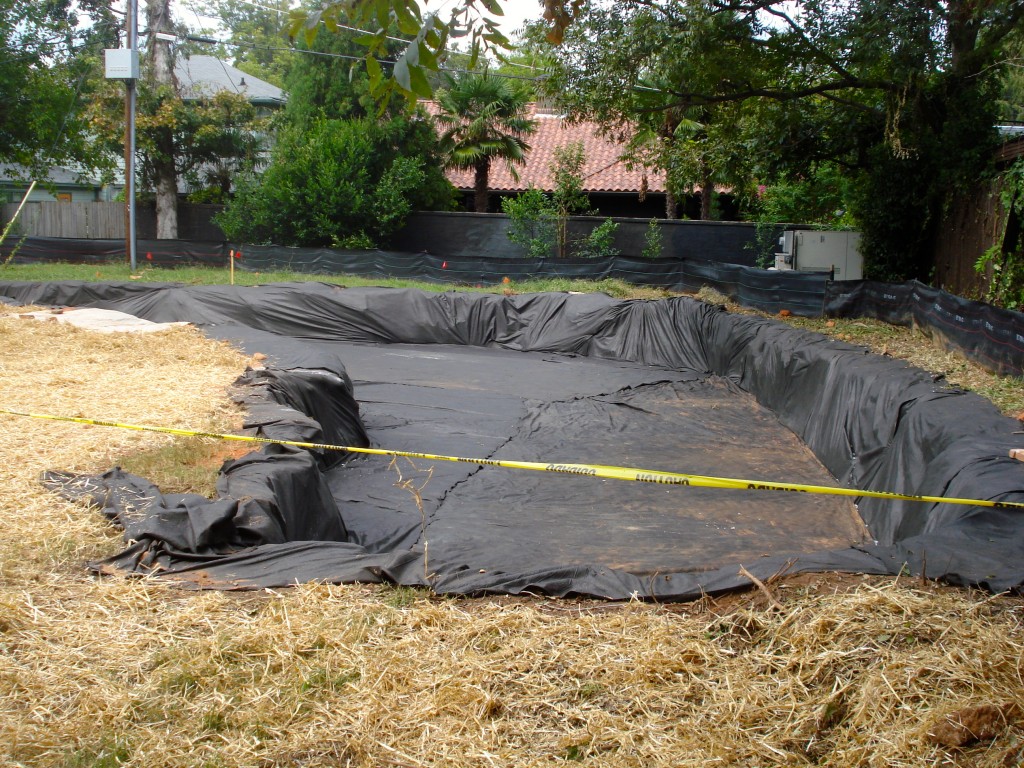 Looking north, this photo shows the bio-retention pond.