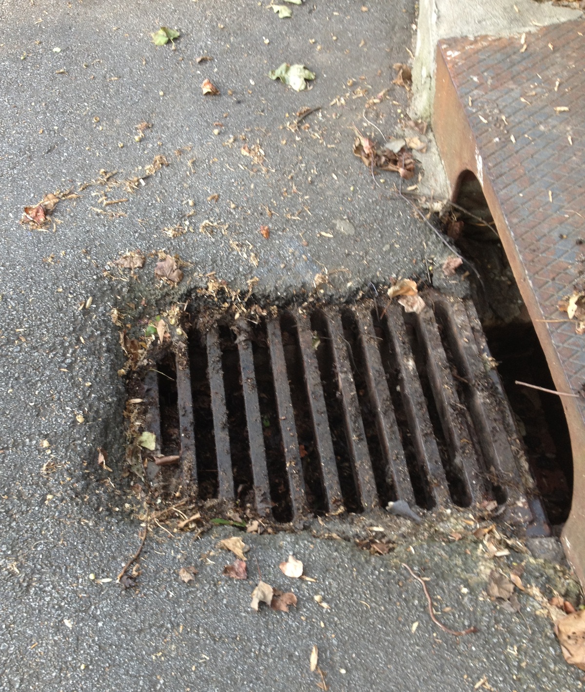 reln-40-in-storm-drain-deep-channel-drain-series-with-architectural