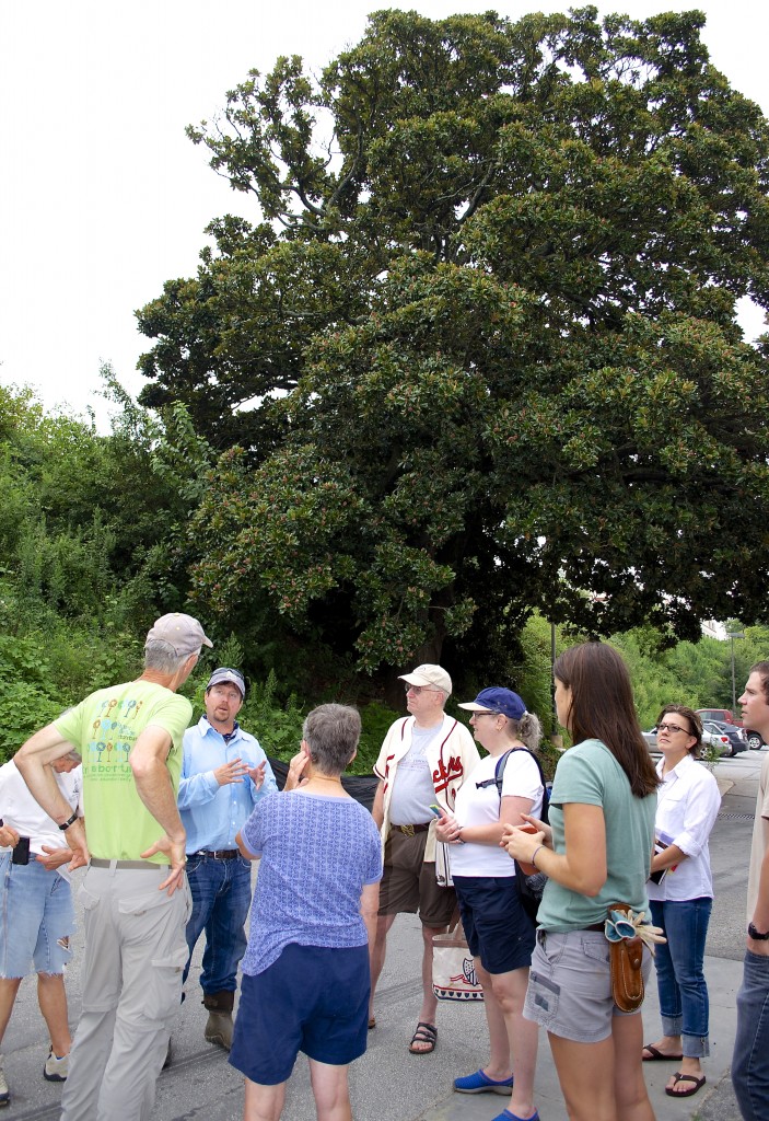 Kevin Redeker from Bold Spring Nursery explains what will happen to the cuttings to Trees Atlanta staff and volunteers.