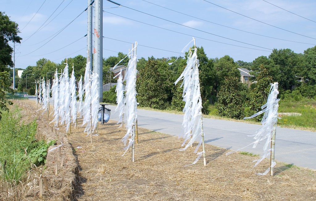 Misao Cates' 'Forest of My Three Words' is an interactive display in which visitors are challenged to express themselves by writing three words on a ribbon, then tying the ribbon to a post.