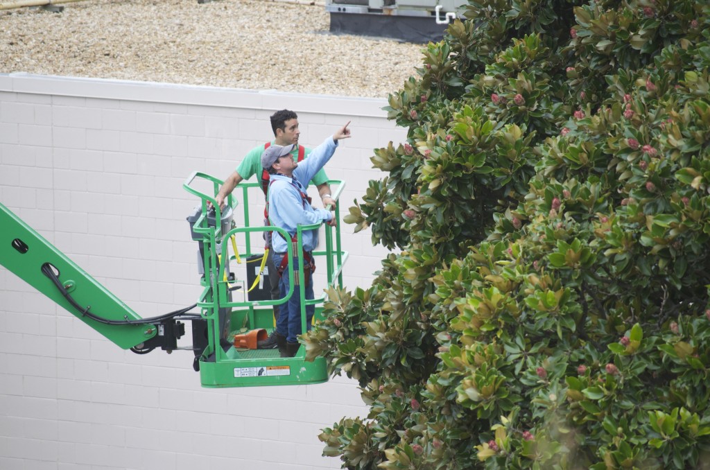 Redeker and Trees Atlanta co-executive director Greg Levine look for the ideal cuttings.