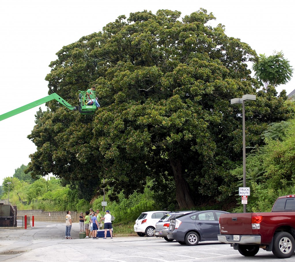 The cherry picker was donated for the event by Sunbelt Equipment Rental.