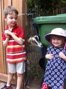 Cate's not sure she's ready for a goat kiss. Brother Joshua looks on.